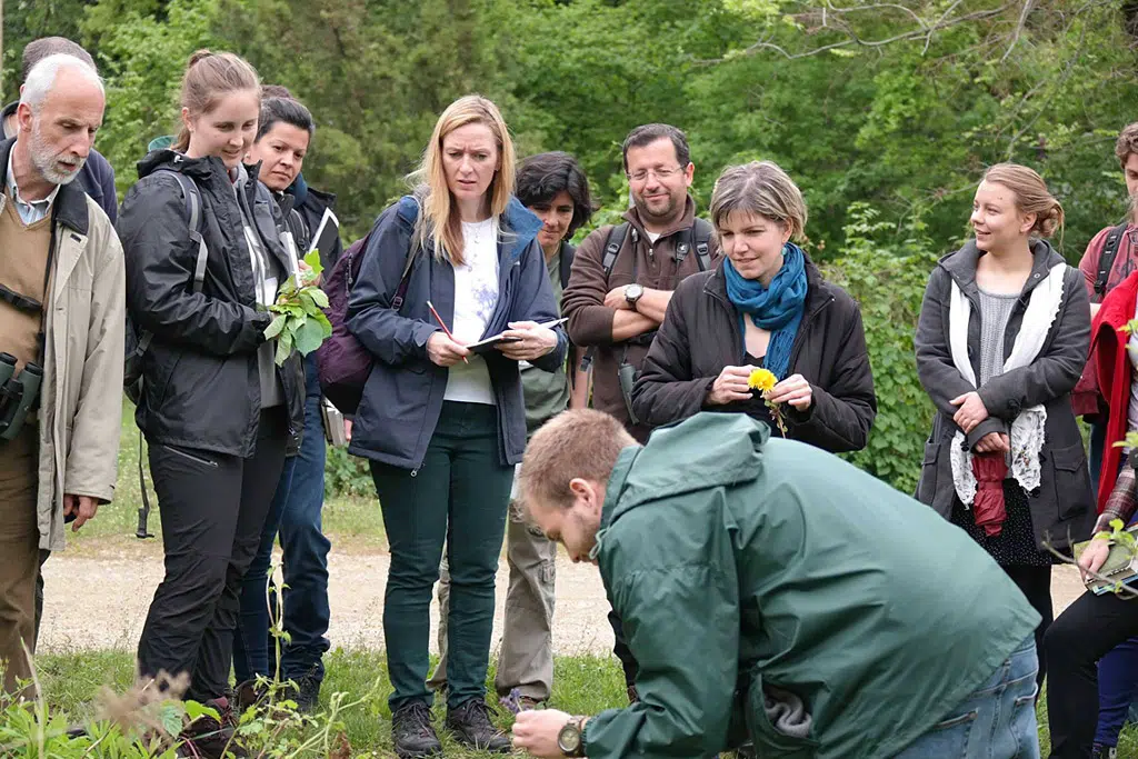 les formations disponibles dans l’environnement